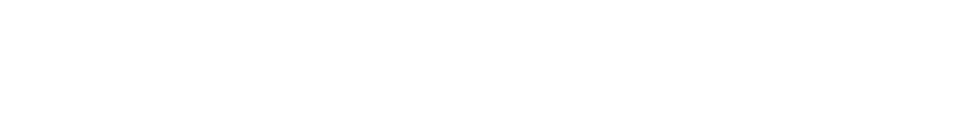 stndrds.store Logo